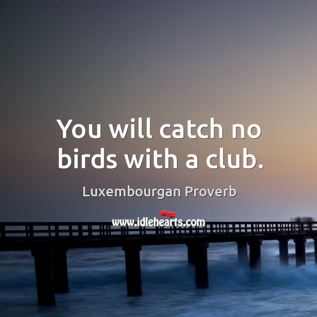 You will catch no birds with a club. Luxembourgan Proverbs Image
