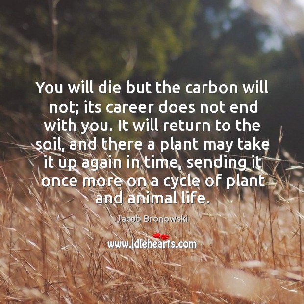 You will die but the carbon will not; its career does not end with you. Jacob Bronowski Picture Quote