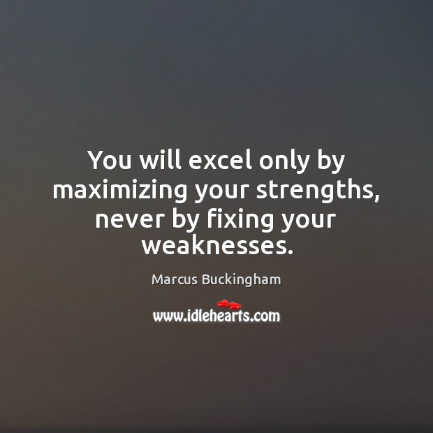You will excel only by maximizing your strengths, never by fixing your weaknesses. Marcus Buckingham Picture Quote