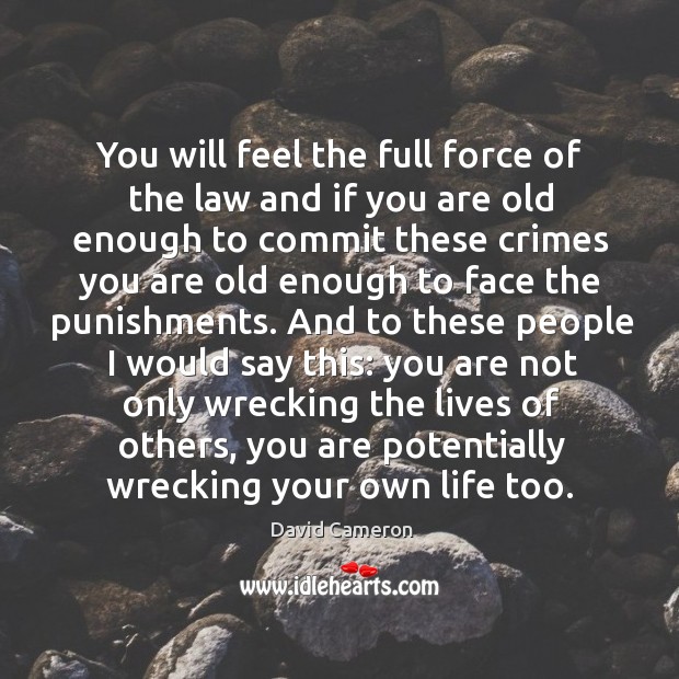 You will feel the full force of the law and if you are old enough to commit these crimes David Cameron Picture Quote