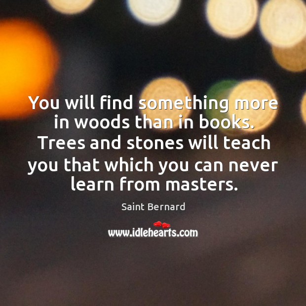 You will find something more in woods than in books. Trees and stones will teach you that. Image
