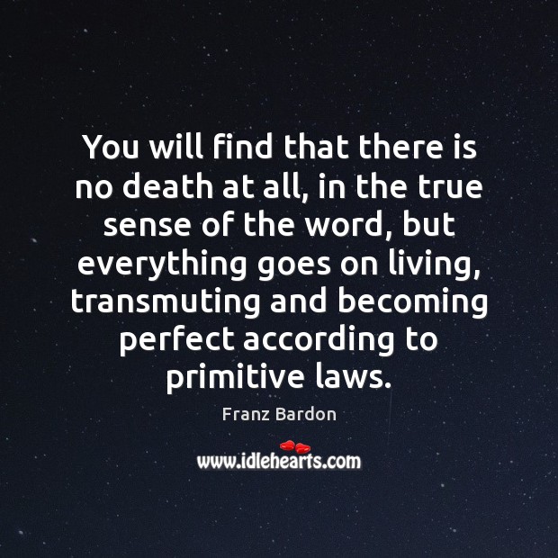 You will find that there is no death at all, in the Franz Bardon Picture Quote