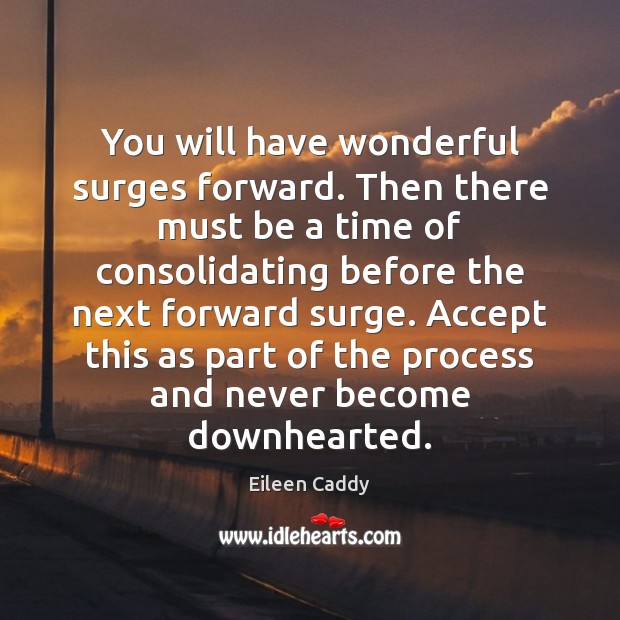 You will have wonderful surges forward. Then there must be a time Eileen Caddy Picture Quote