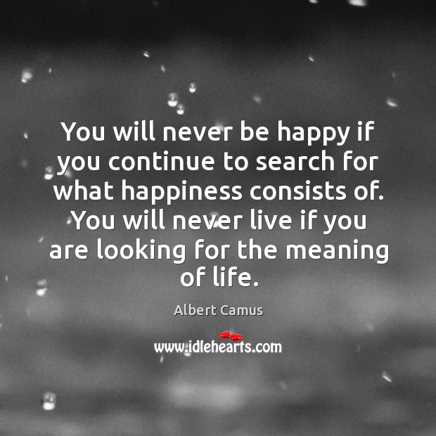 You will never be happy if you continue to search for what happiness consists of. Image