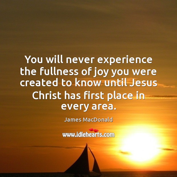 You will never experience the fullness of joy you were created to James MacDonald Picture Quote
