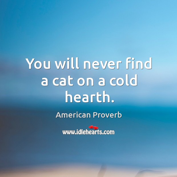 You will never find a cat on a cold hearth. Image