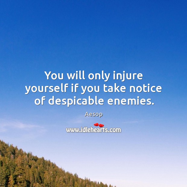 You will only injure yourself if you take notice of despicable enemies. Aesop Picture Quote