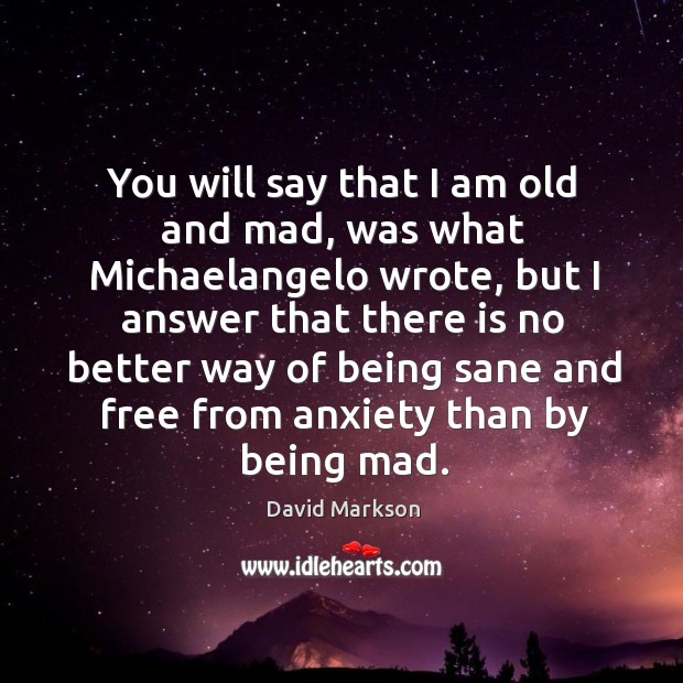 You will say that I am old and mad, was what Michaelangelo David Markson Picture Quote