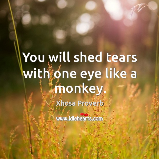 You will shed tears with one eye like a monkey. Xhosa Proverbs Image