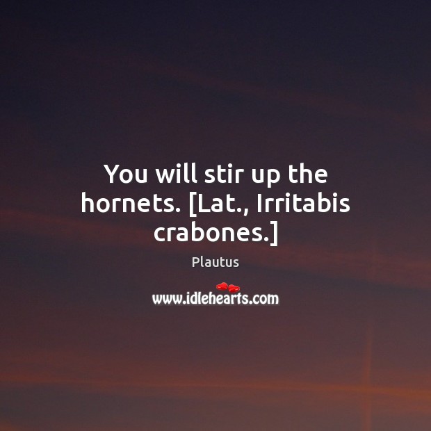 You will stir up the hornets. [Lat., Irritabis crabones.] Plautus Picture Quote