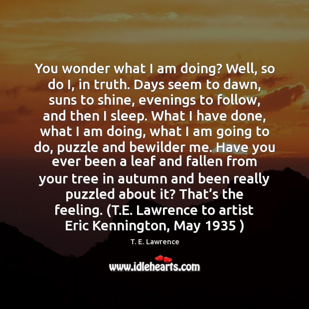 You wonder what I am doing? Well, so do I, in truth. T. E. Lawrence Picture Quote