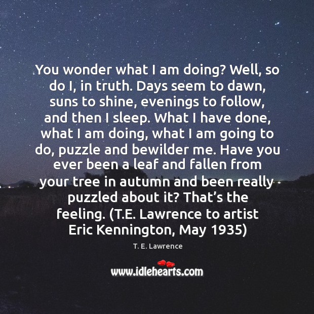 You wonder what I am doing? Well, so do I, in truth. T. E. Lawrence Picture Quote