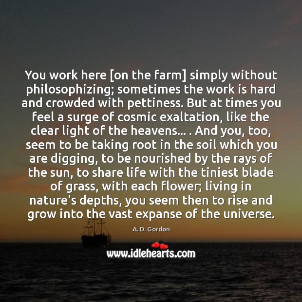 You work here [on the farm] simply without philosophizing; sometimes the work Image