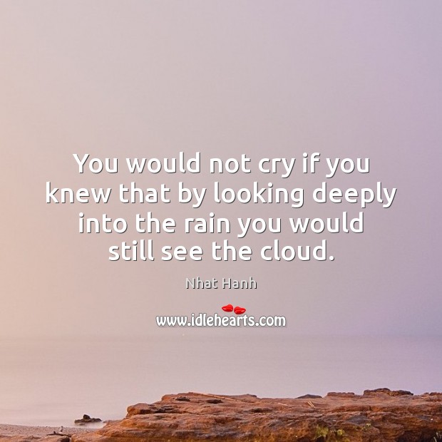 You would not cry if you knew that by looking deeply into Nhat Hanh Picture Quote