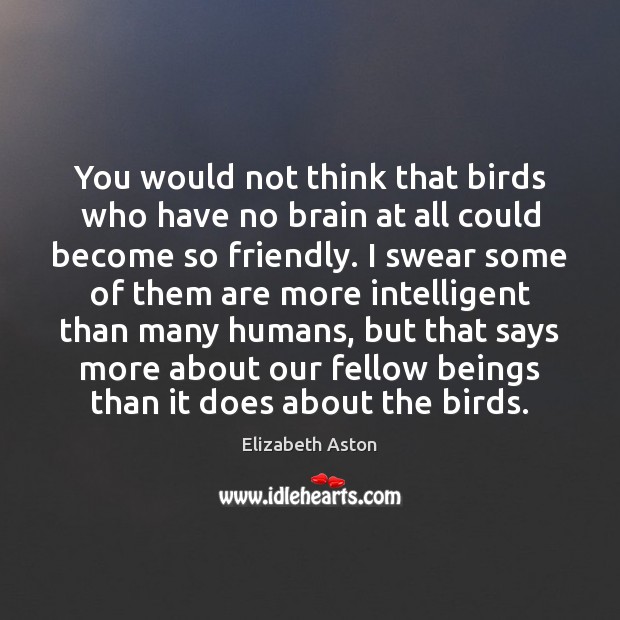 You would not think that birds who have no brain at all Elizabeth Aston Picture Quote