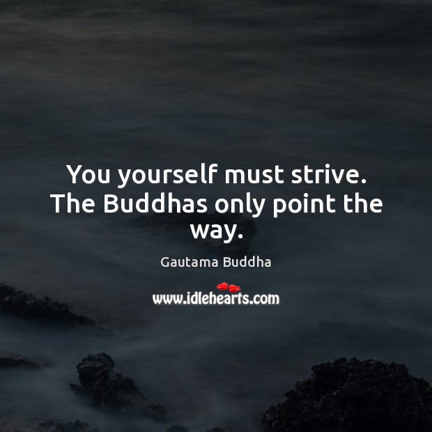 You yourself must strive. The Buddhas only point the way. Gautama Buddha Picture Quote
