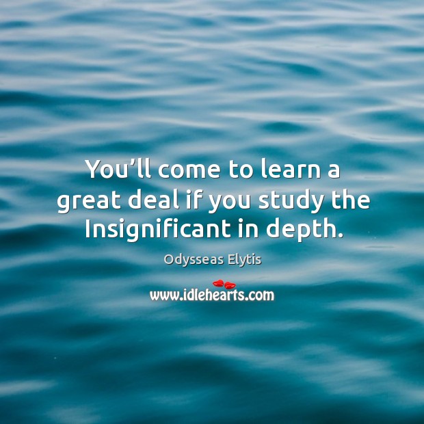 You’ll come to learn a great deal if you study the insignificant in depth. Image