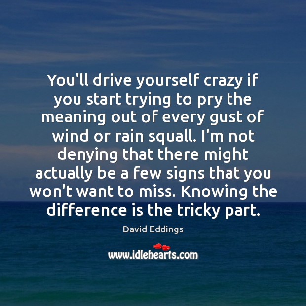 You’ll drive yourself crazy if you start trying to pry the meaning David Eddings Picture Quote