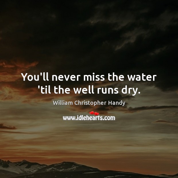 You’ll never miss the water ’til the well runs dry. William Christopher Handy Picture Quote