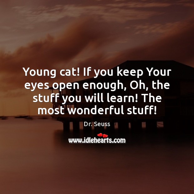 Young cat! If you keep Your eyes open enough, Oh, the stuff Dr. Seuss Picture Quote