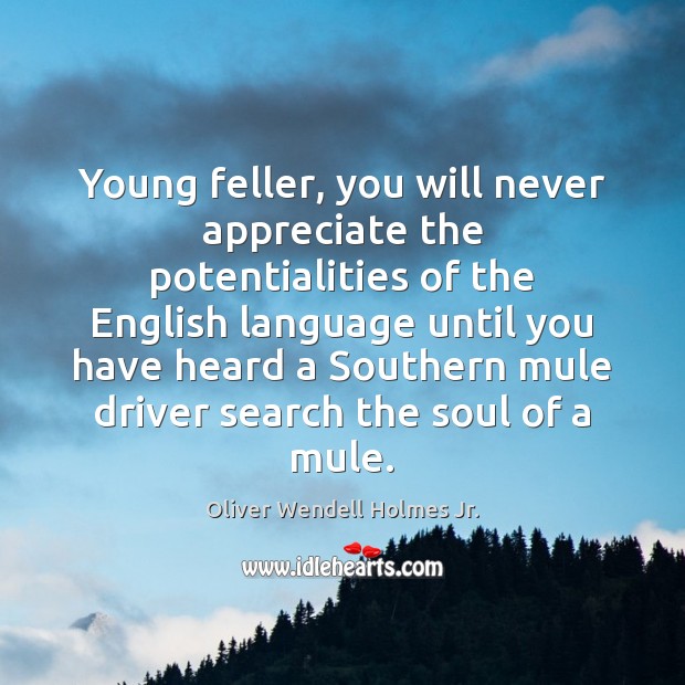 Young feller, you will never appreciate the potentialities of the English language Oliver Wendell Holmes Jr. Picture Quote