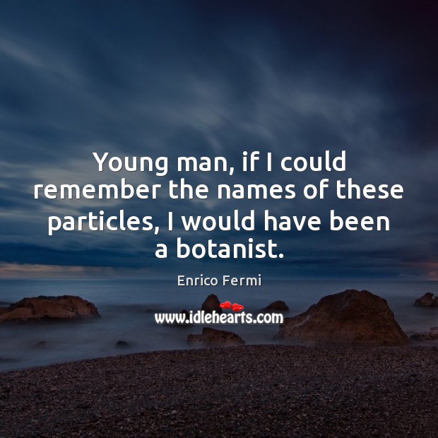 Young man, if I could remember the names of these particles, I would have been a botanist. Image