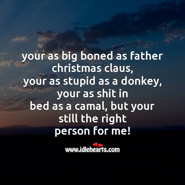 Your as big boned as father christmas claus Image