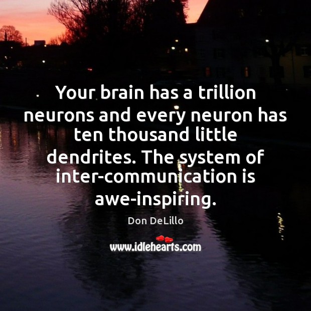 Your brain has a trillion neurons and every neuron has ten thousand Don DeLillo Picture Quote