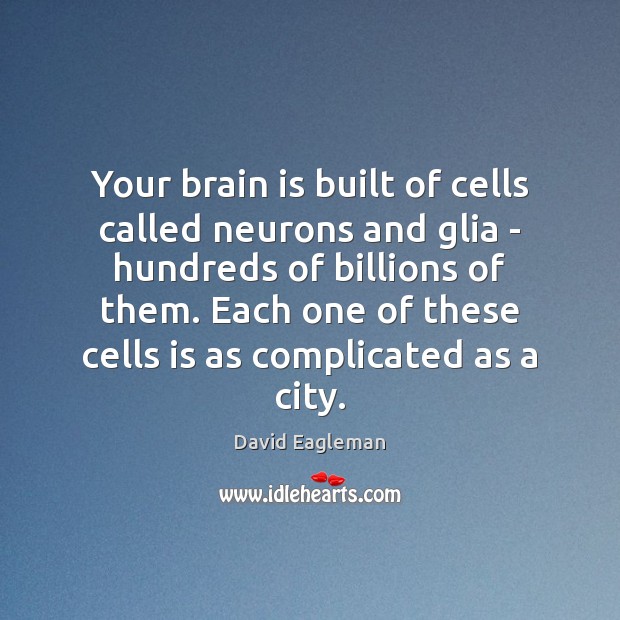 Your brain is built of cells called neurons and glia – hundreds David Eagleman Picture Quote