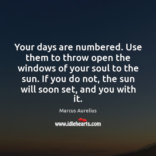 Your days are numbered. Use them to throw open the windows of Marcus Aurelius Picture Quote