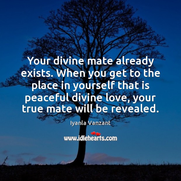 Your divine mate already exists. When you get to the place in Iyanla Vanzant Picture Quote