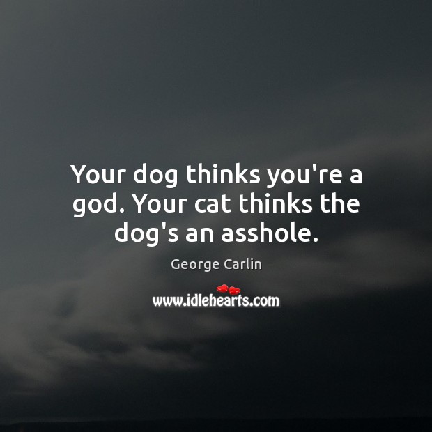 Your dog thinks you’re a God. Your cat thinks the dog’s an asshole. Image