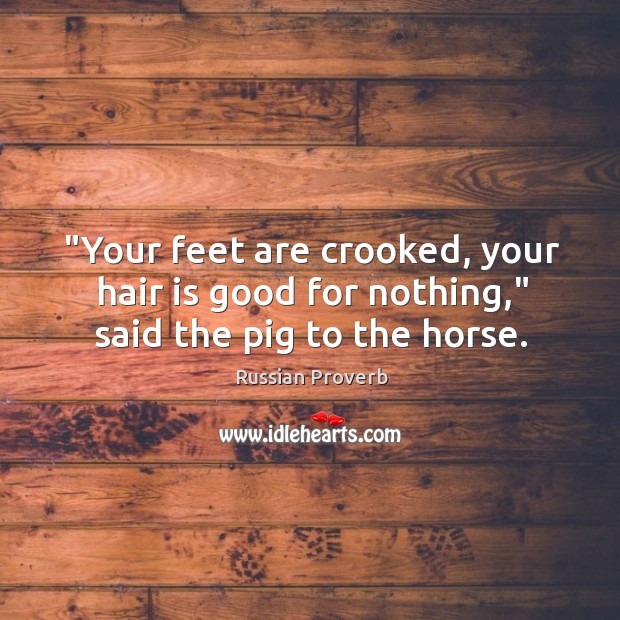 “your feet are crooked, your hair is good for nothing,” said the pig to the horse. Image