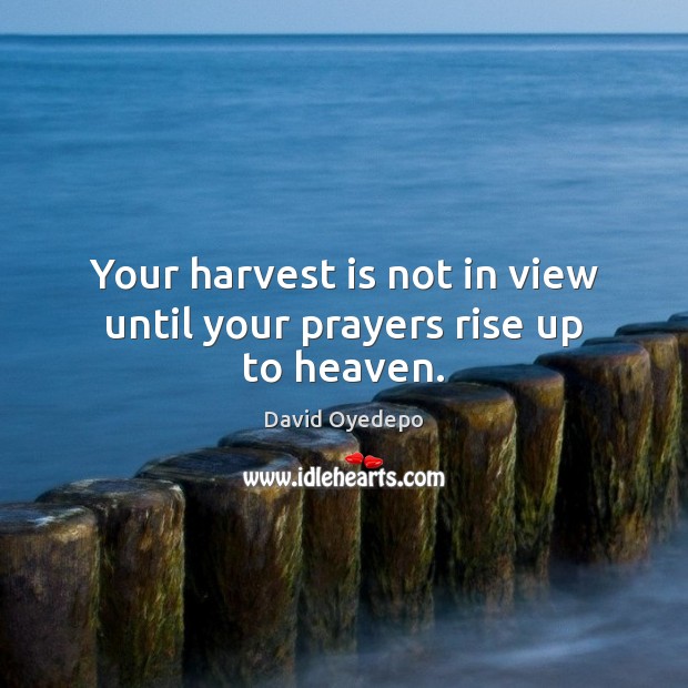 Your harvest is not in view until your prayers rise up to heaven. David Oyedepo Picture Quote