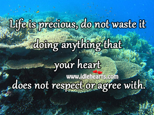 Life is precious, do not waste it doing anything Image
