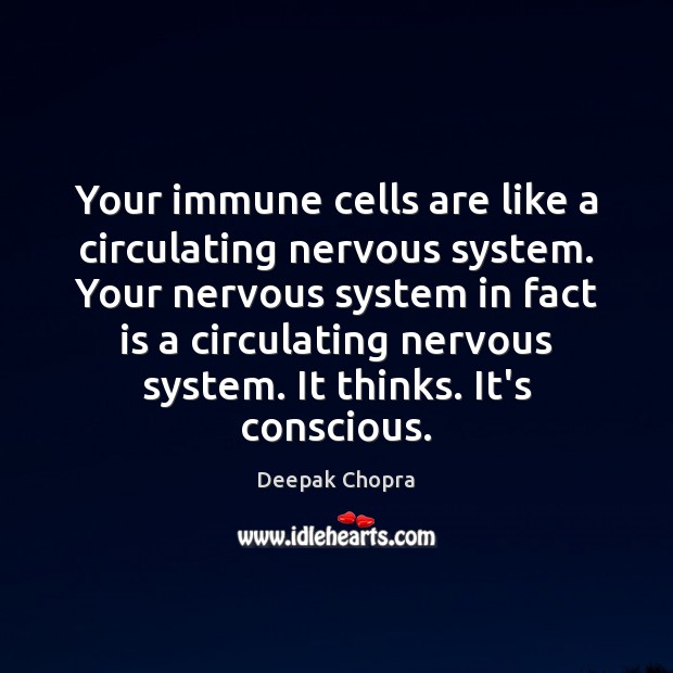 Your immune cells are like a circulating nervous system. Your nervous system 