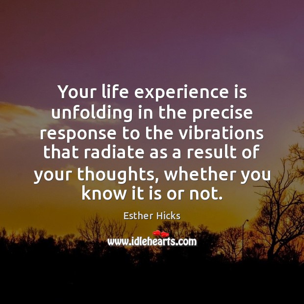 Your life experience is unfolding in the precise response to the vibrations Experience Quotes Image