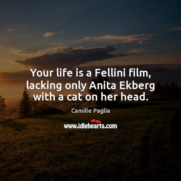 Your life is a Fellini film, lacking only Anita Ekberg with a cat on her head. Camille Paglia Picture Quote