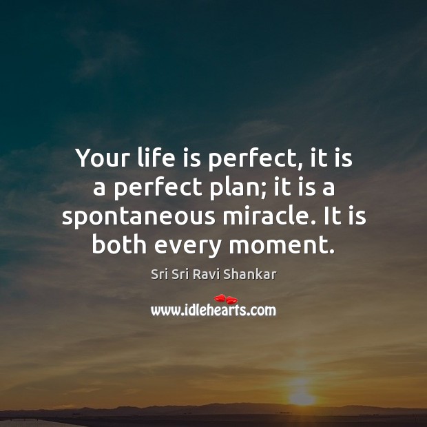 Your life is perfect, it is a perfect plan; it is a Sri Sri Ravi Shankar Picture Quote