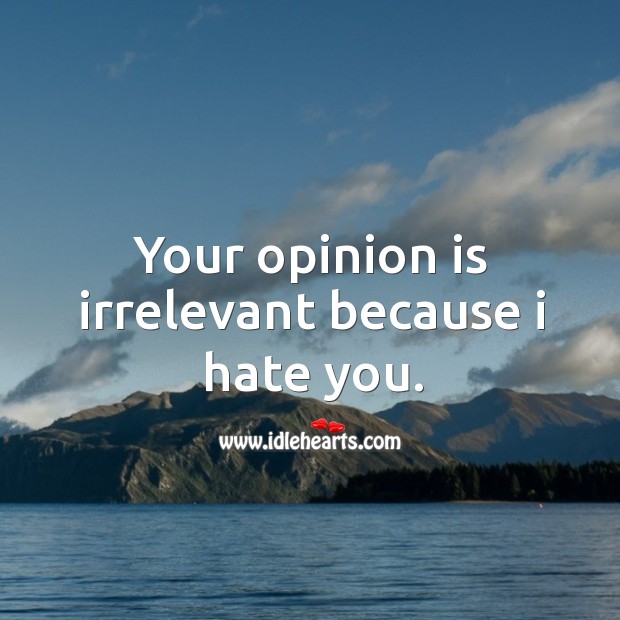 Your opinion is irrelevant because I hate you. Hate Quotes Image