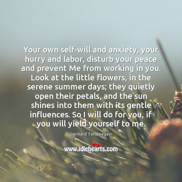 Your own self-will and anxiety, your hurry and labor, disturb your peace Gerhard Tersteegen Picture Quote