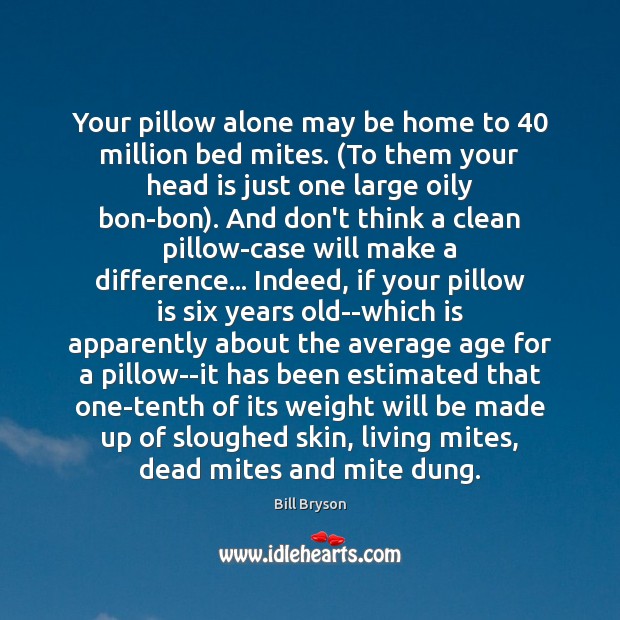 Your pillow alone may be home to 40 million bed mites. (To them Image