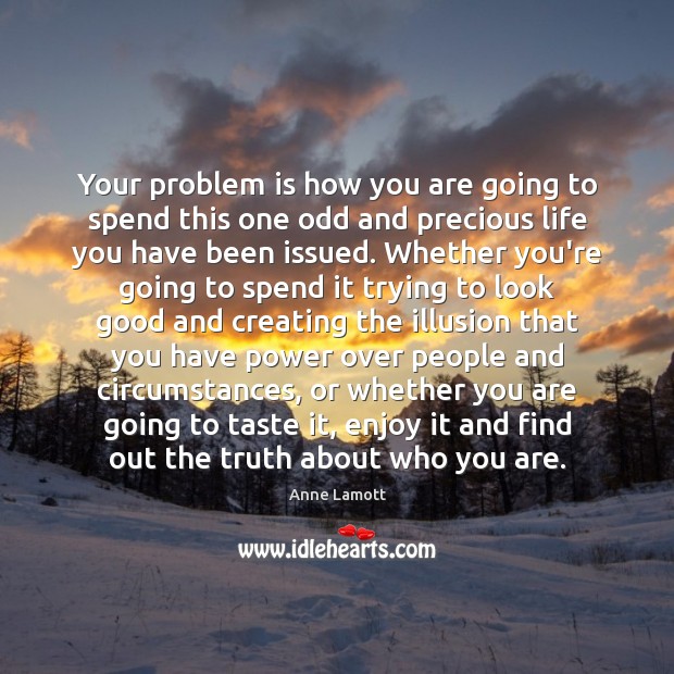 Your problem is how you are going to spend this one odd Anne Lamott Picture Quote