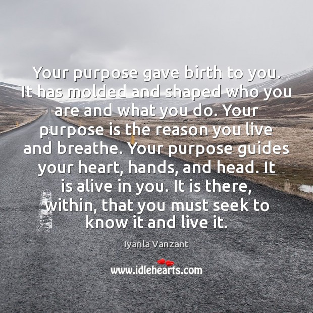 Your purpose gave birth to you. It has molded and shaped who Image