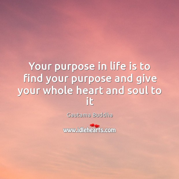 Your purpose in life is to find your purpose and give your whole heart and soul to it Gautama Buddha Picture Quote