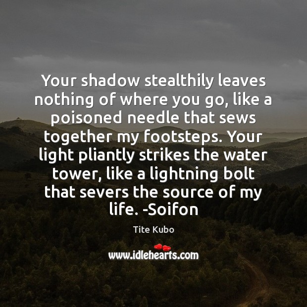 Your shadow stealthily leaves nothing of where you go, like a poisoned Image