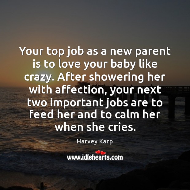 Your top job as a new parent is to love your baby Harvey Karp Picture Quote