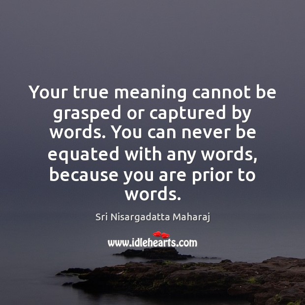 Your true meaning cannot be grasped or captured by words. You can Sri Nisargadatta Maharaj Picture Quote