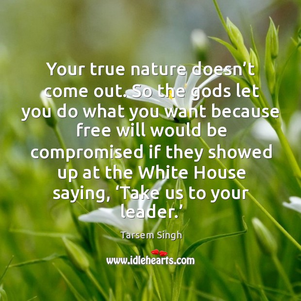 Your true nature doesn’t come out. So the Gods let you do what you want because Image