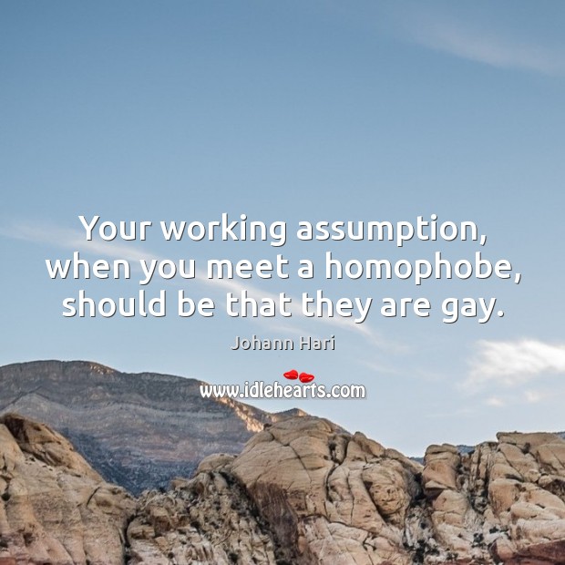 Your working assumption, when you meet a homophobe, should be that they are gay. Johann Hari Picture Quote